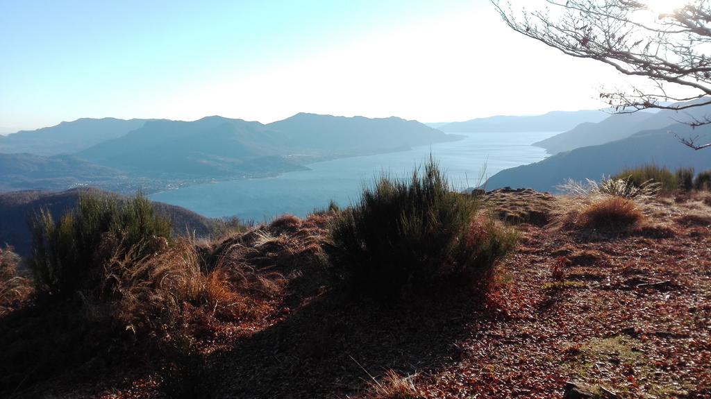 Diana * Tronzano Lago Maggiore